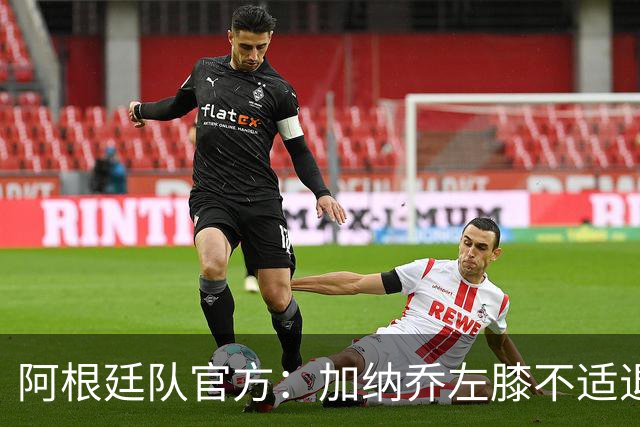 阿根廷队官方：加纳乔左膝不适退出本期国家队